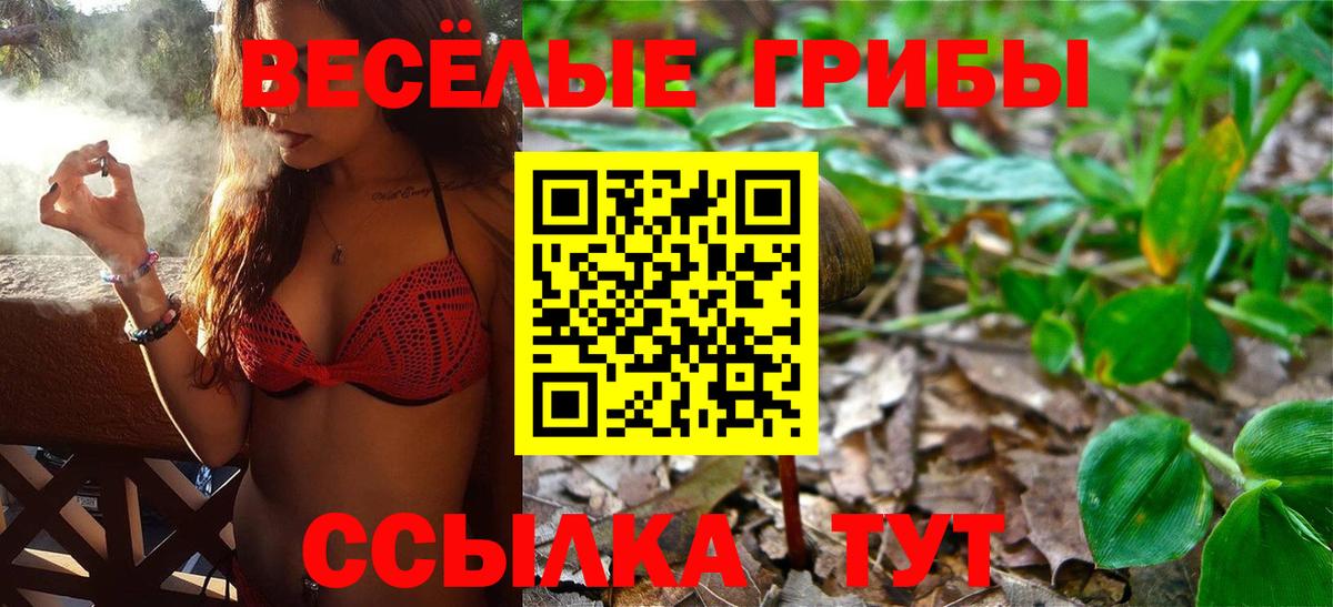 Щёкино  Галлюциногенные грибы GOLDEN TEACHER  Вход с VPN 