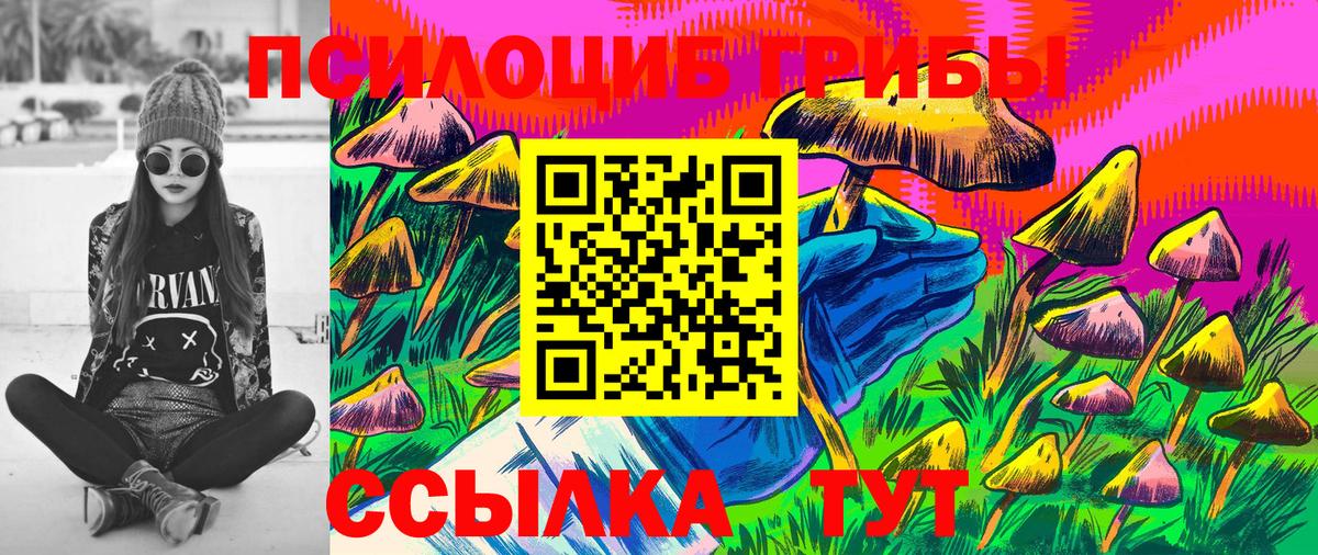 Псилоцибиновые грибы мицелий Щёкино